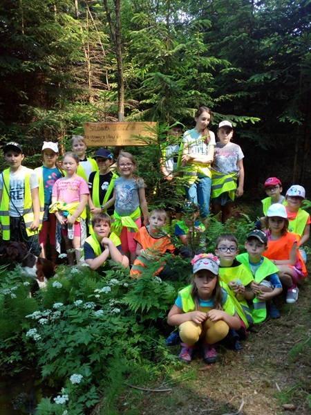 Péče o studánku 2019