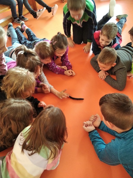 Výukový program o zvířatech 2024