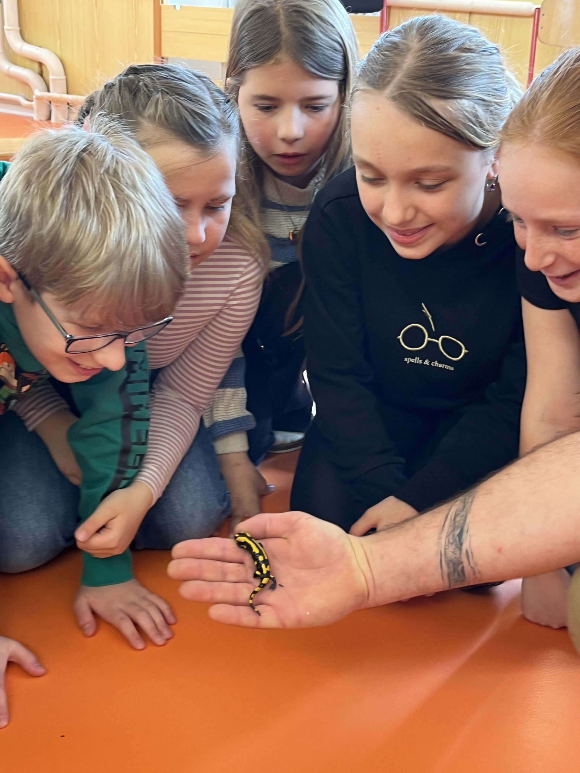Vzdělávací program „Zvířata, kterých se nemusíte bát“